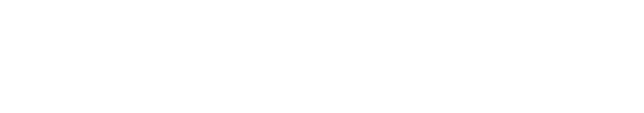 Park Audio ES